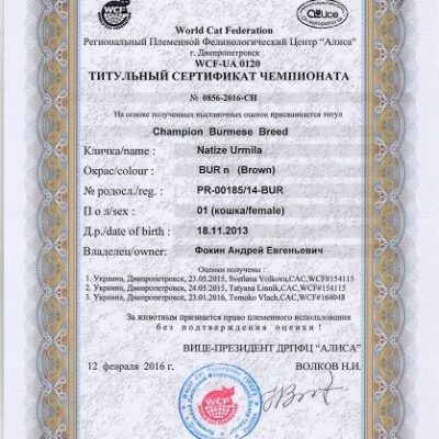 Чемпион породы!