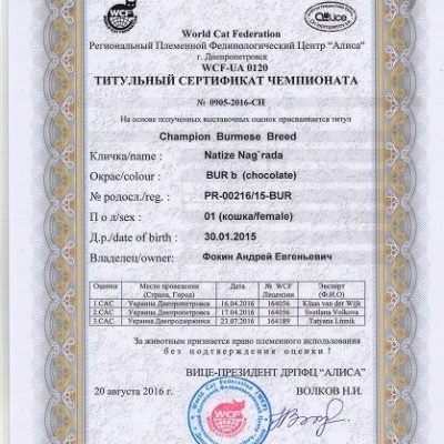 Чемпион породы!