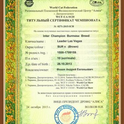 Интер чемпион породы!